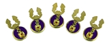 4031857 ROJ Button Covers Purple Royal Order of Jesters Biliken Formal Dress Billiken Book of Plays Jester